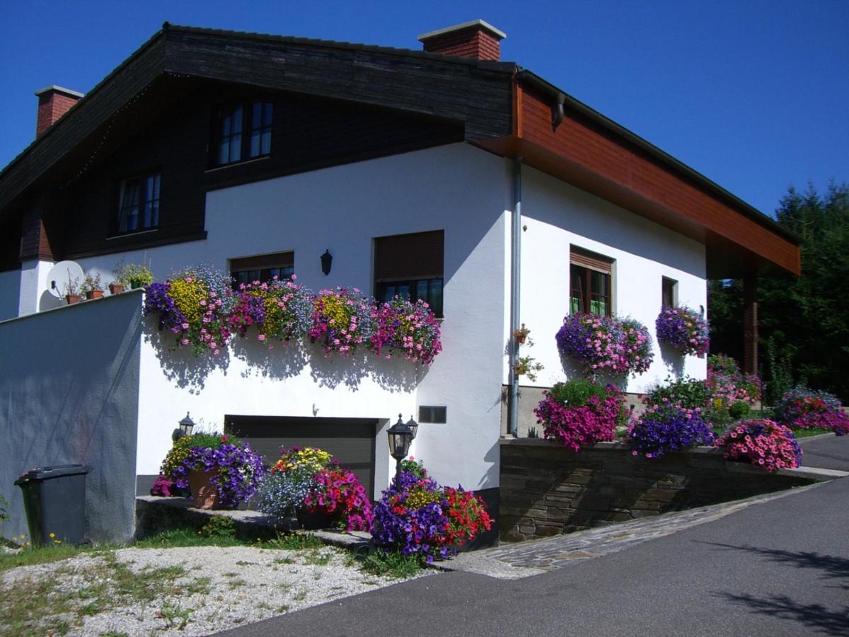 Apartamento Haus Wutzl Mariazell Exterior foto